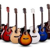 Страны производители гитар